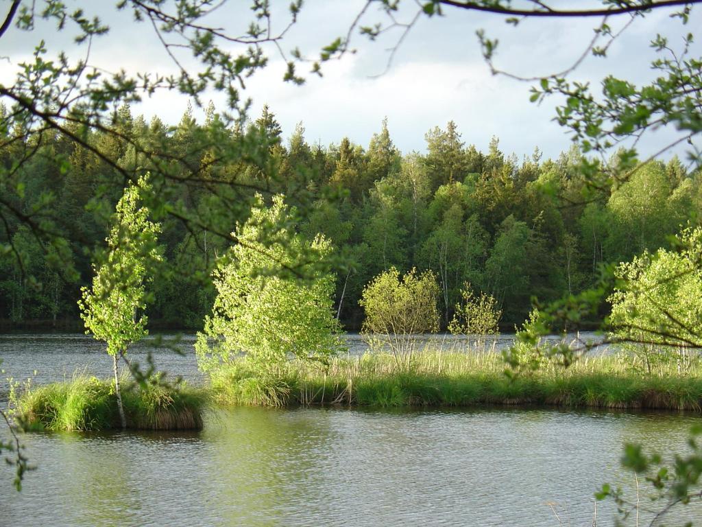 Landhotel Alte Muhle Ostrach Eksteriør bilde